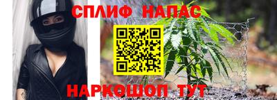 шишки Старая Купавна