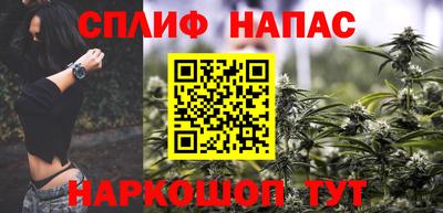 Альфа ПВП Ставрополь
