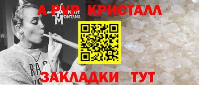 Альфа ПВП Ставрополь
