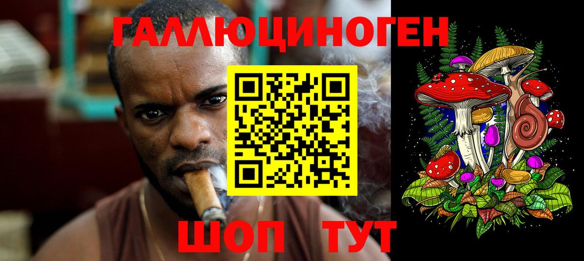 Галлюциногенные грибы MAGIC MUSHROOMS  Вход с VPN  Нарткала 